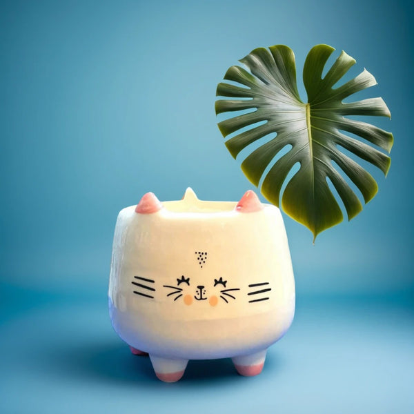Smiling Cat Face Shape Ceramic Planter with legs in white