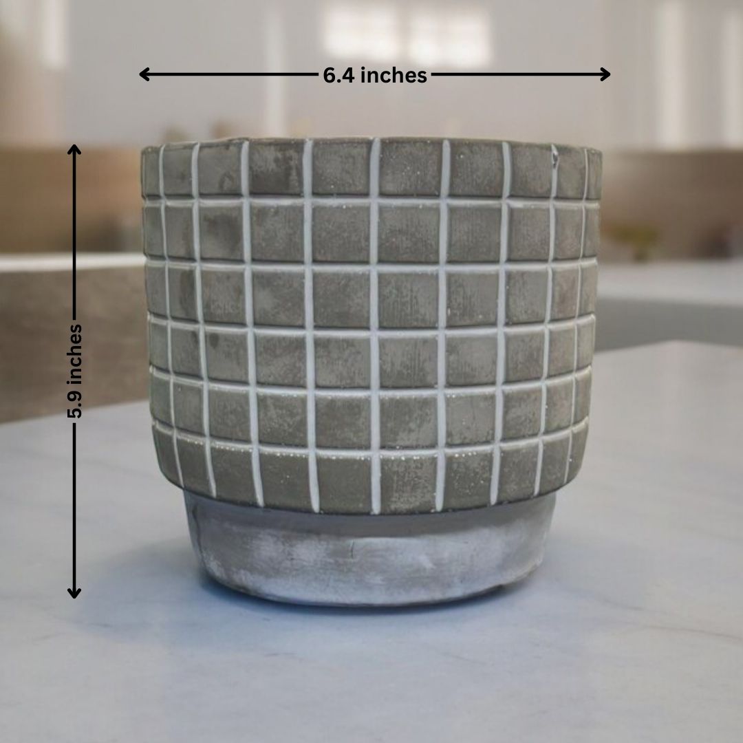 square box design for planter  near Bangalore 