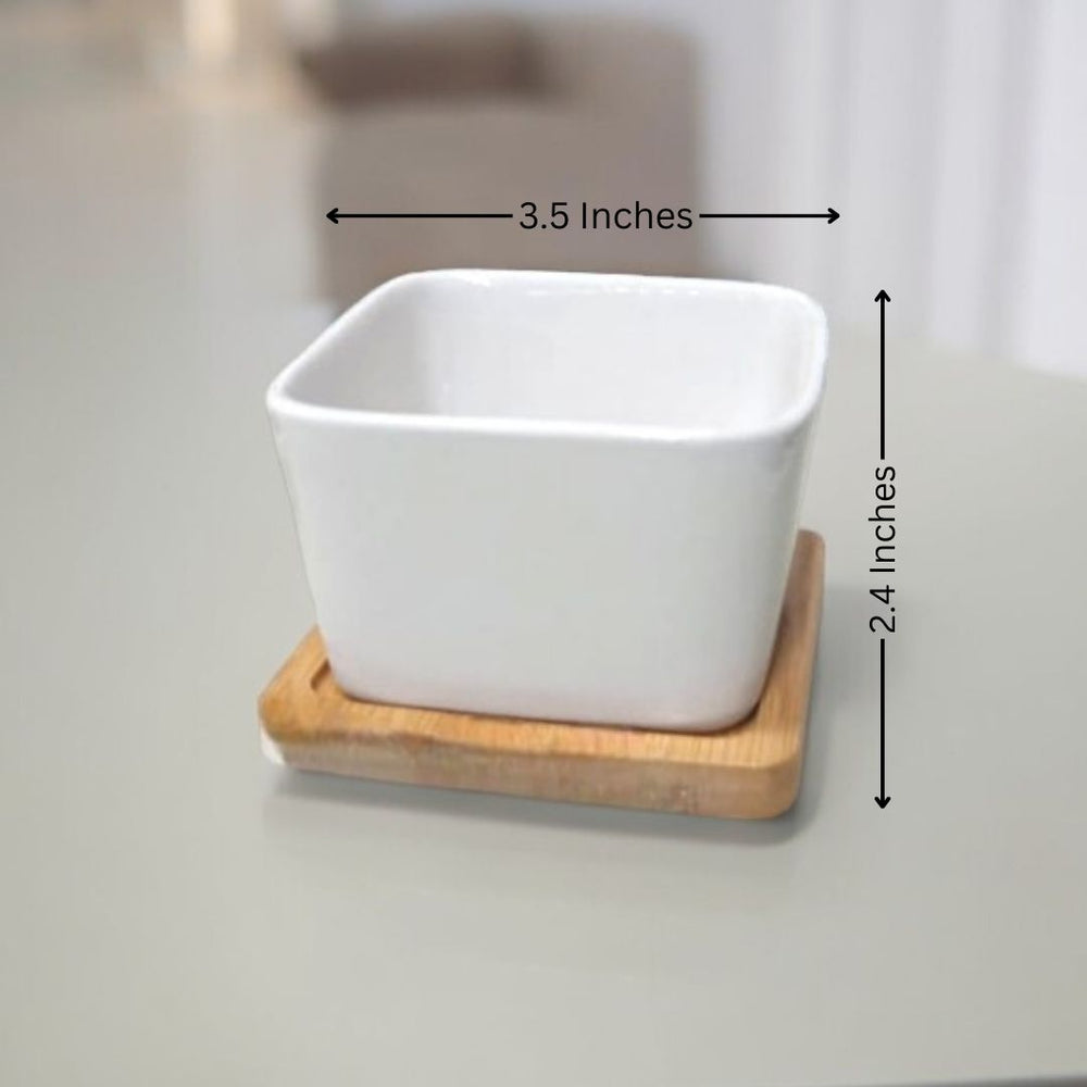 Designer planters Bangalore