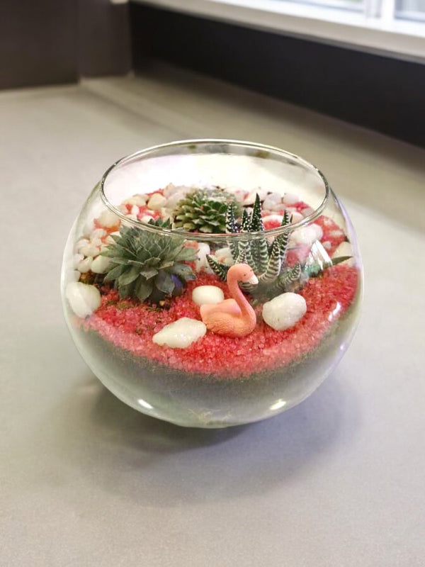Succulent plants in a glass terrarium planter with decorative miniature figurines