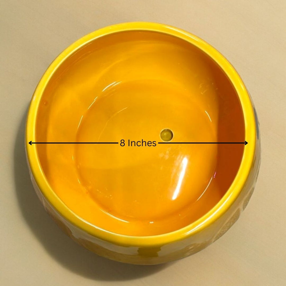 Affordable planters Bangalore