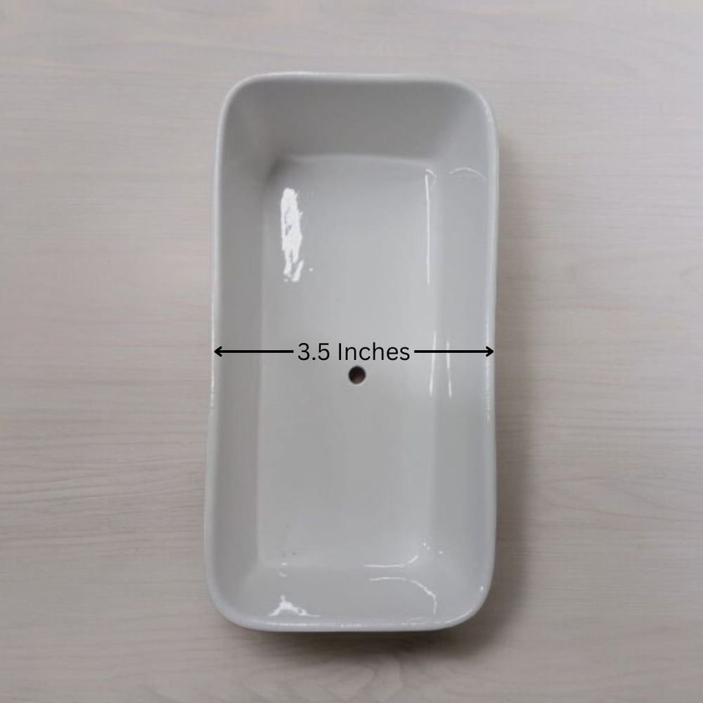 Designer planters Bangalore