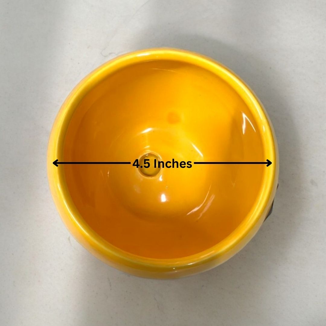 Designer planters Bangalore