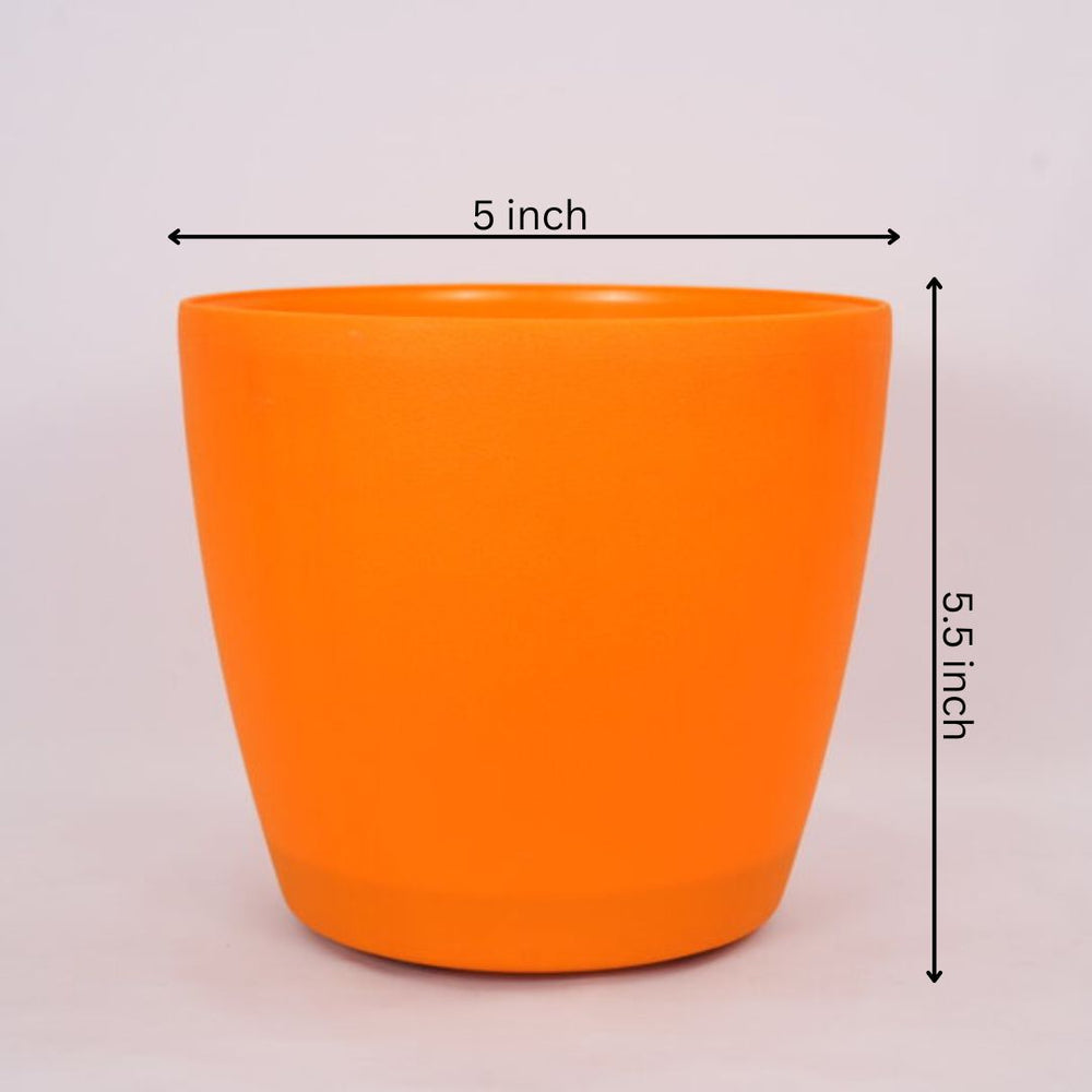 Polygon Green Plastic Round