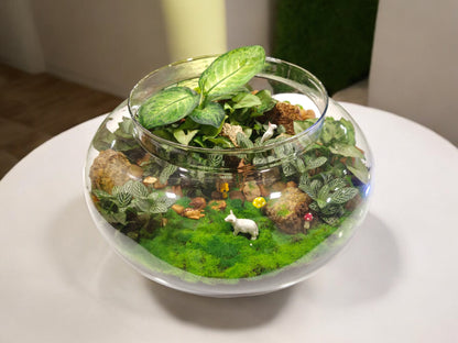 Designer Plants Terrarium