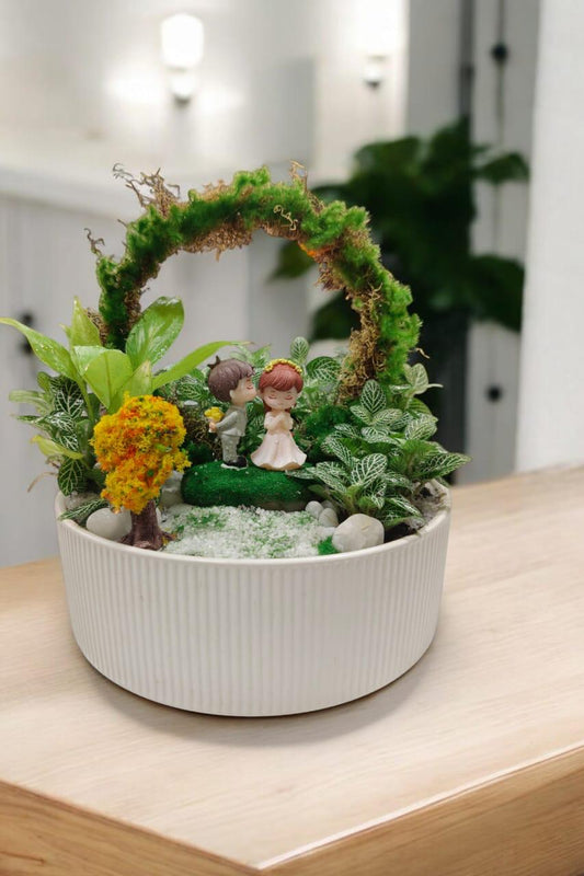 succlent set with Artificial Moss Arch miniature