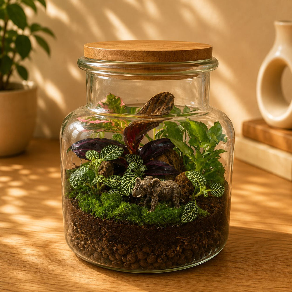 Elephant's Jungle Terrarium