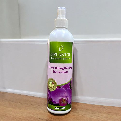 fertilizer for orchid plants in bangalore