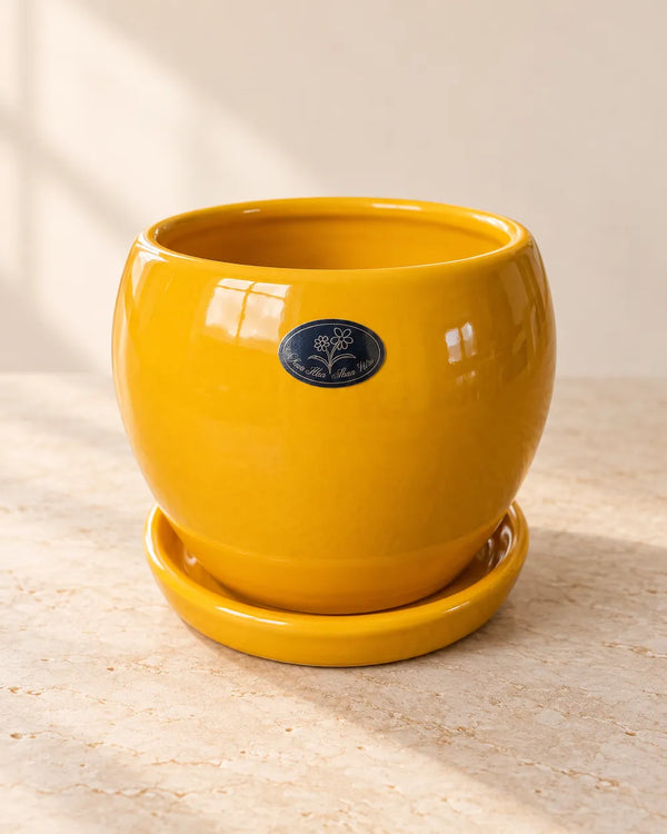 Apple Planter - Classic in Yellow — empty planter