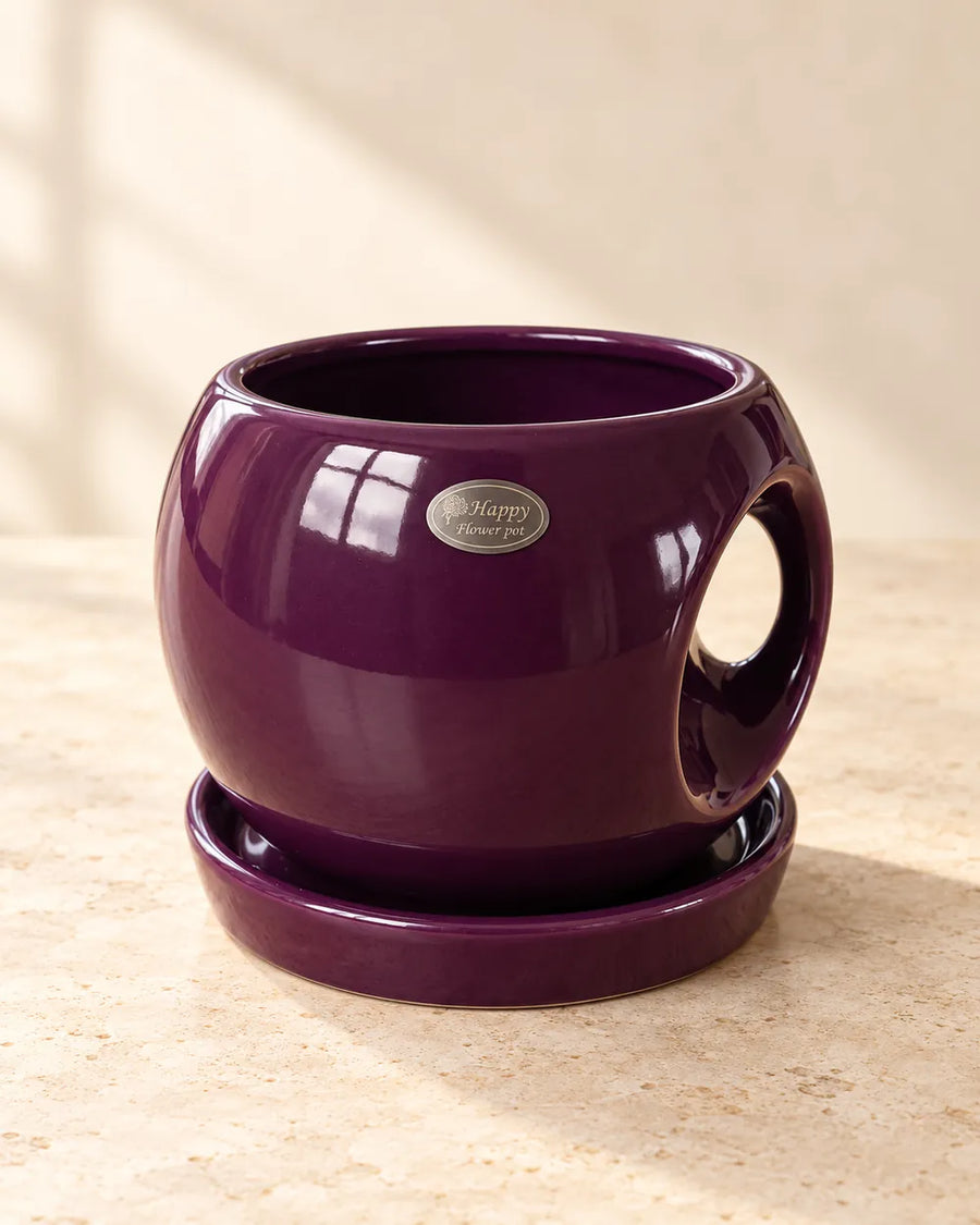 Round Handle Planter - Large