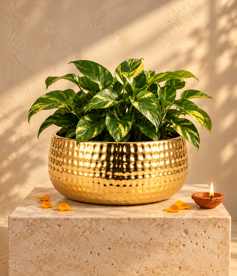 Hammered Gold Bowl Planter