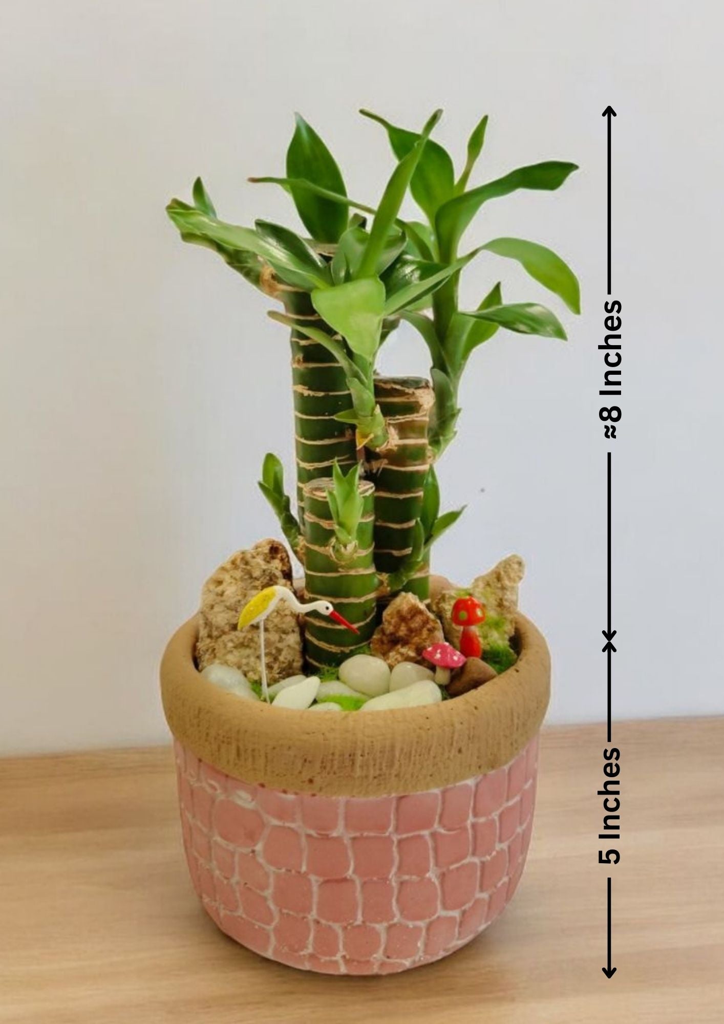 Designer planter with Bamboo