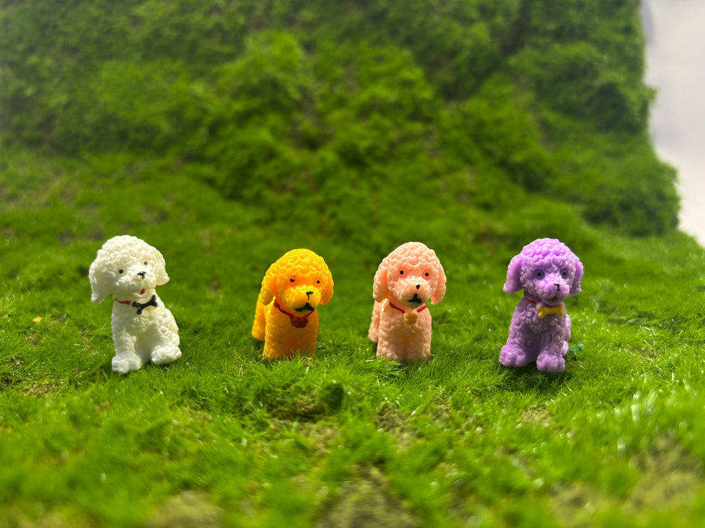 Cute Dog Miniature
