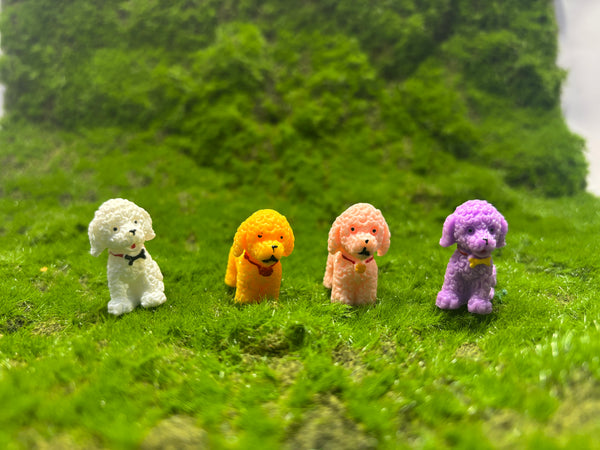 Cute Dog Miniature