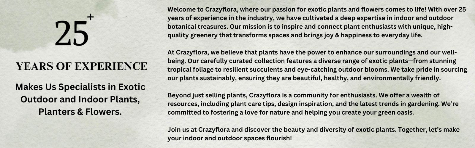  crazyflora banner in Bangalore 