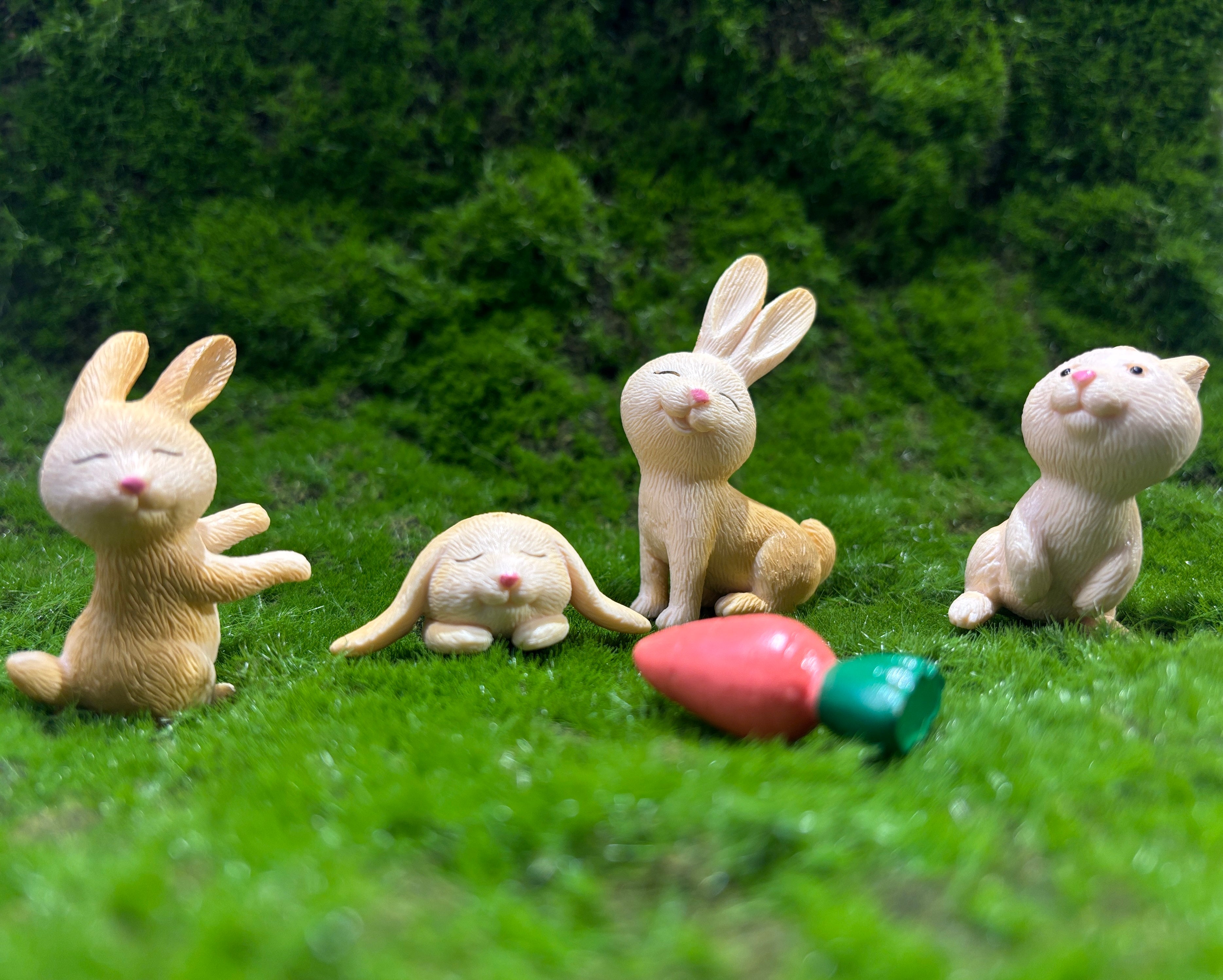 Fun Bunny Miniatures – Crazyflora