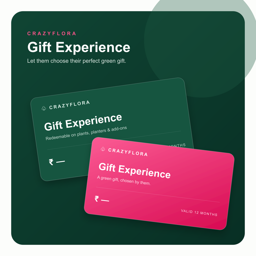CrazyFlora Gift Experience