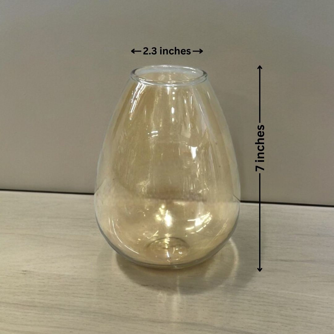 Imported Clear Glass Vases