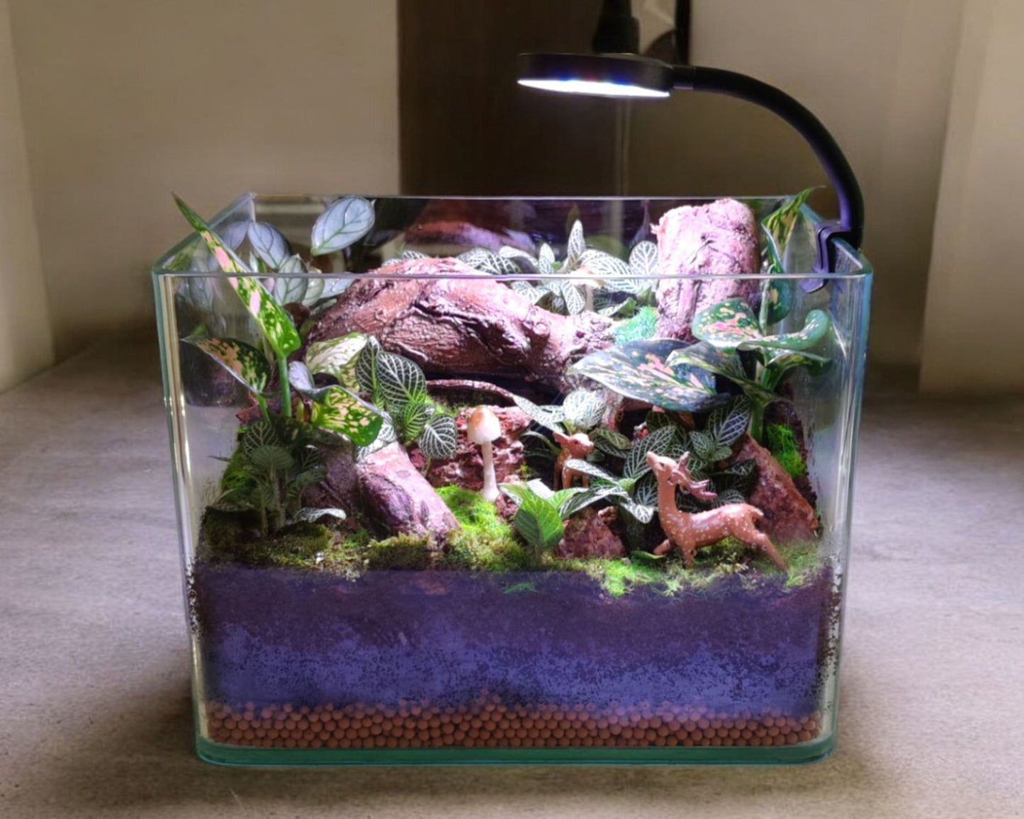 terrarium miniature Near Bangalore 