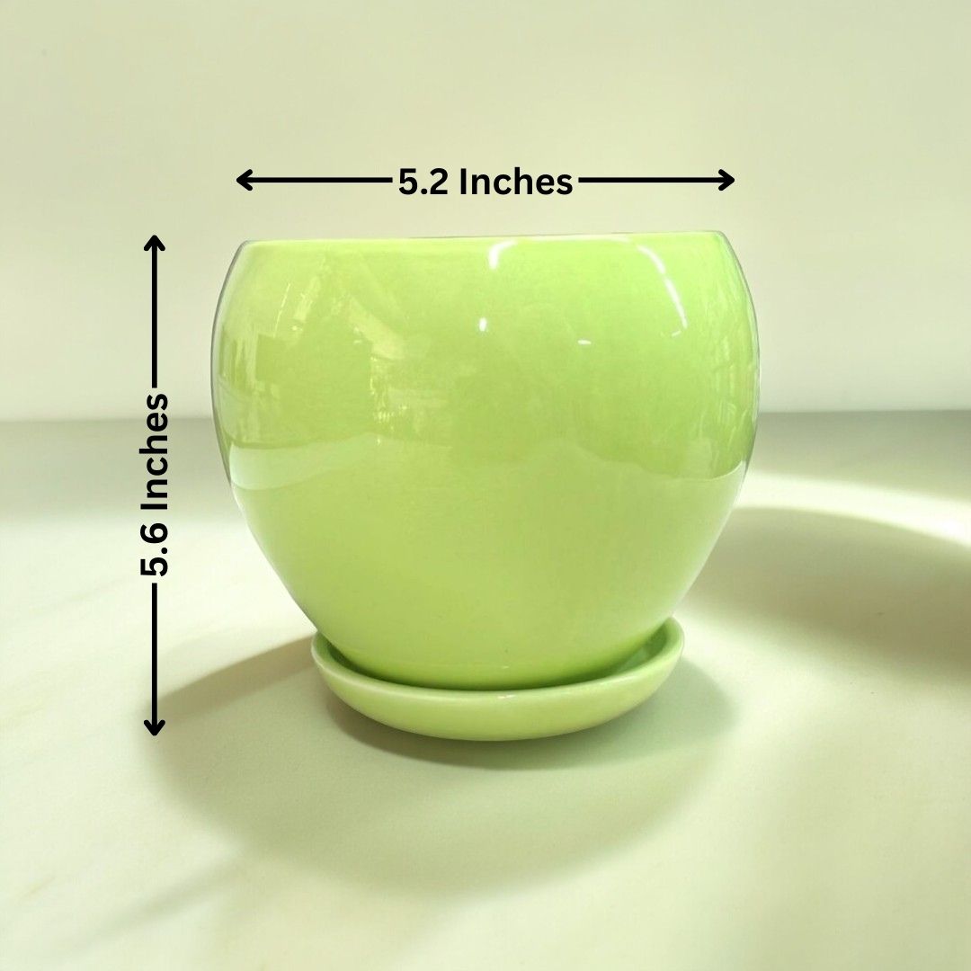 Affordable planters Bangalore