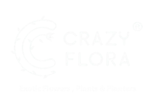 crazyflora logo in bangalore