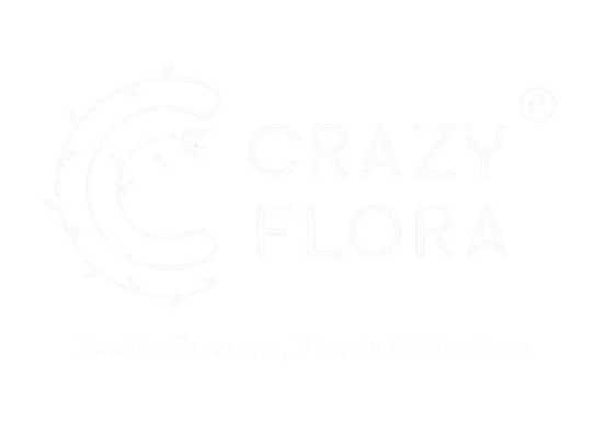 crazyflora logo in bangalore