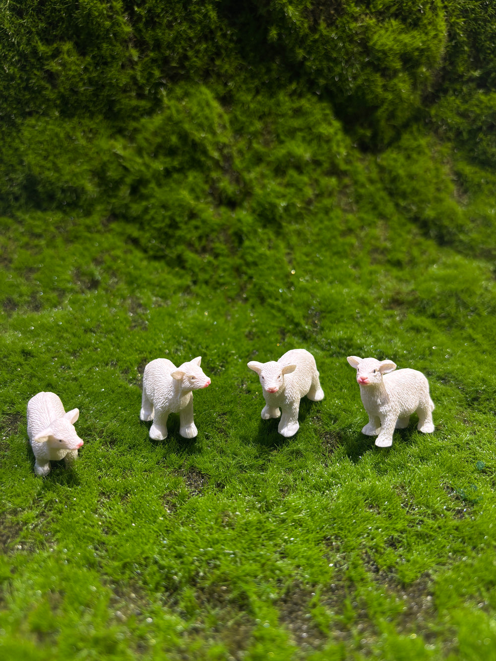 Mellow Cow Miniature