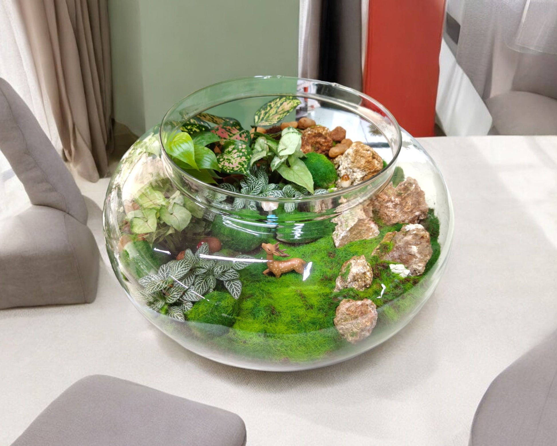 aglaonema terrarium Designer Plants Terrarium with Aglaonema – Crazyflora