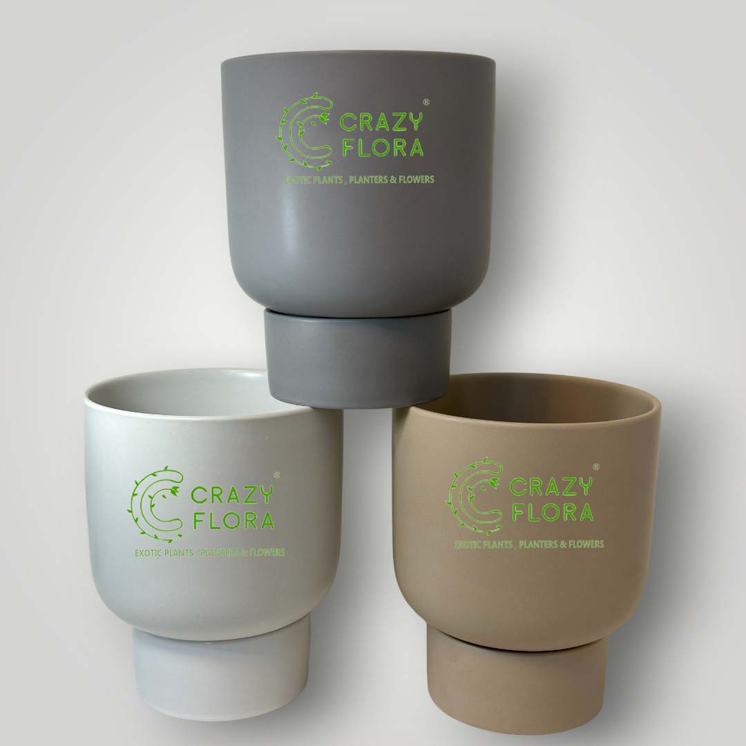 Cylinder Shape Planter