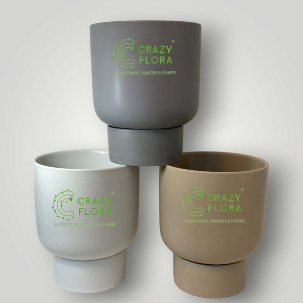 Cylinder Shape Planter