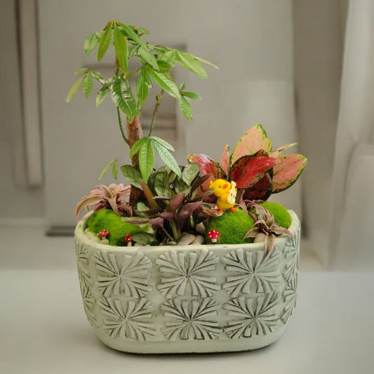 Designer planter with Bonsai