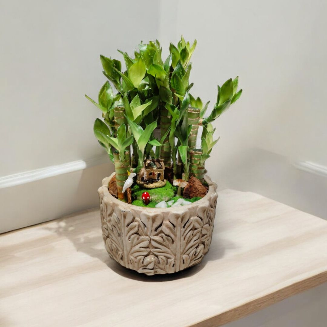 Designer planter with Bamboo