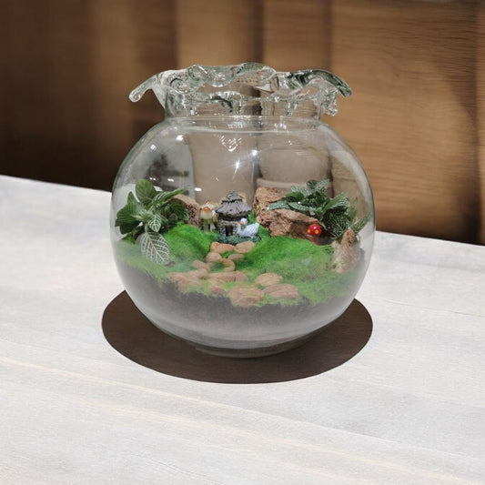 Designer Planter Terrarium