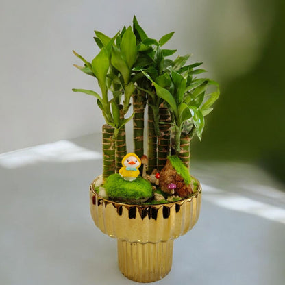 Designer planter with Bamboo