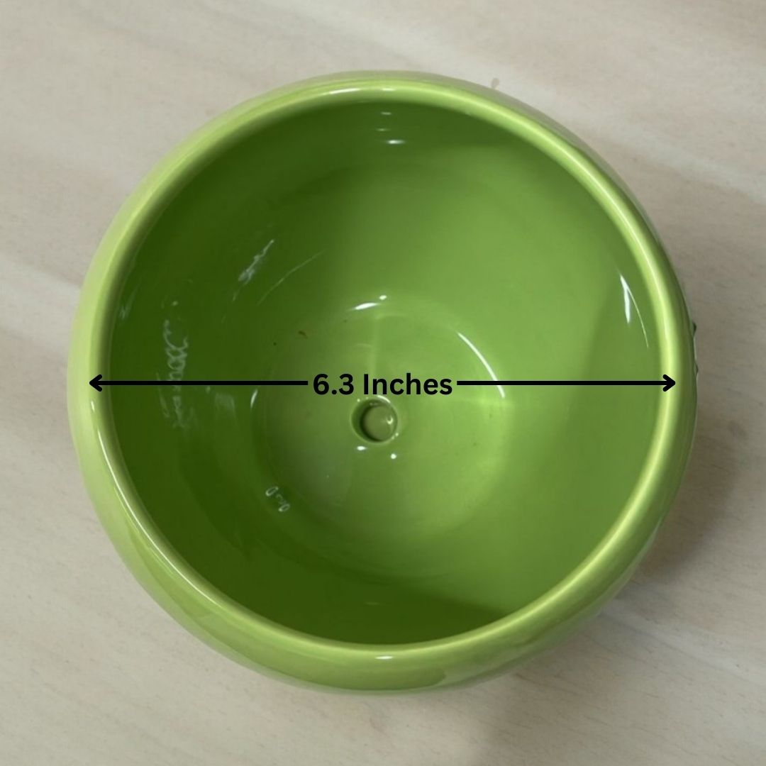 Affordable planters Bangalore