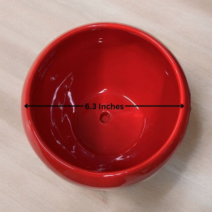 Designer planters Bangalore