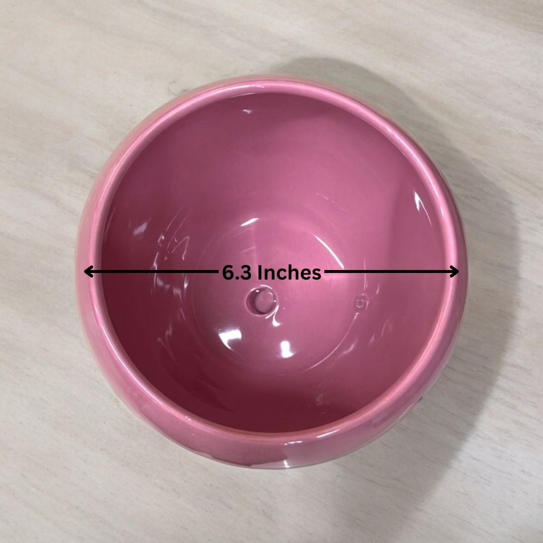 Affordable planters Bangalore