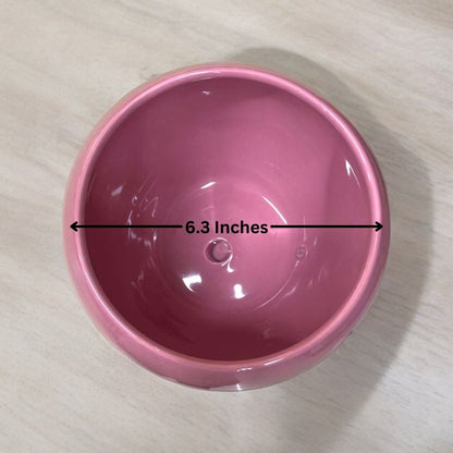 Affordable planters Bangalore