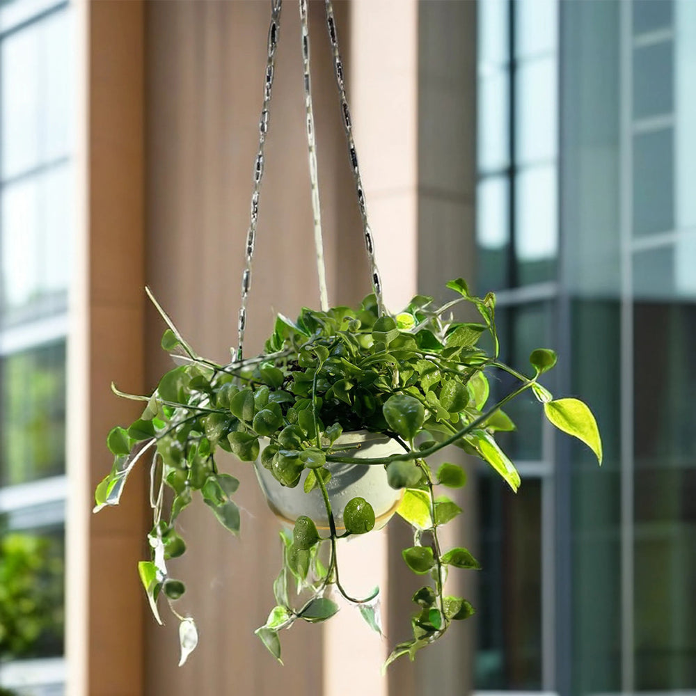 Hanging Pot